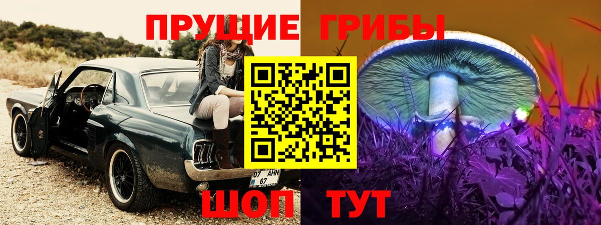 Галлюциногенные грибы GOLDEN TEACHER Вязники